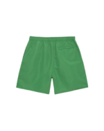 Short de Bain Stüssy Big Basic Vert